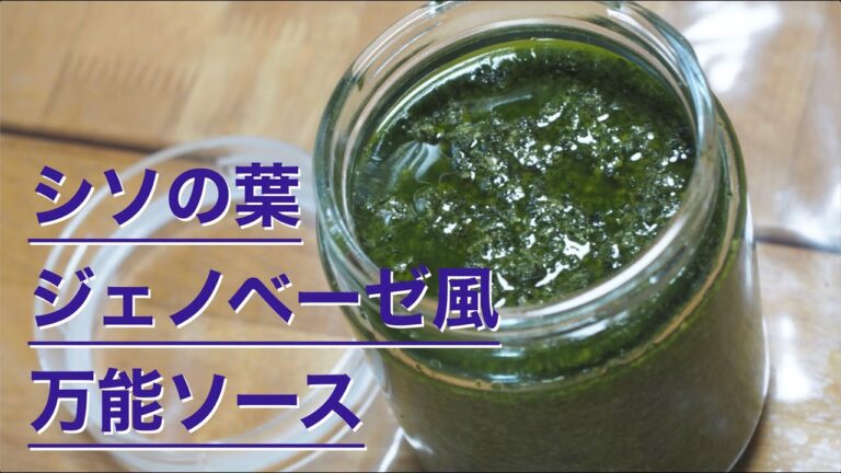 シソの葉のジェノベーゼ風ソース／焼き魚にはこれ！