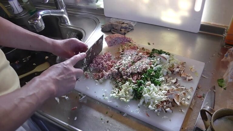 幸運な病のレシピ（ 703 )昼：青梗菜と豚ロース炒め、パテから作った餃子の餡