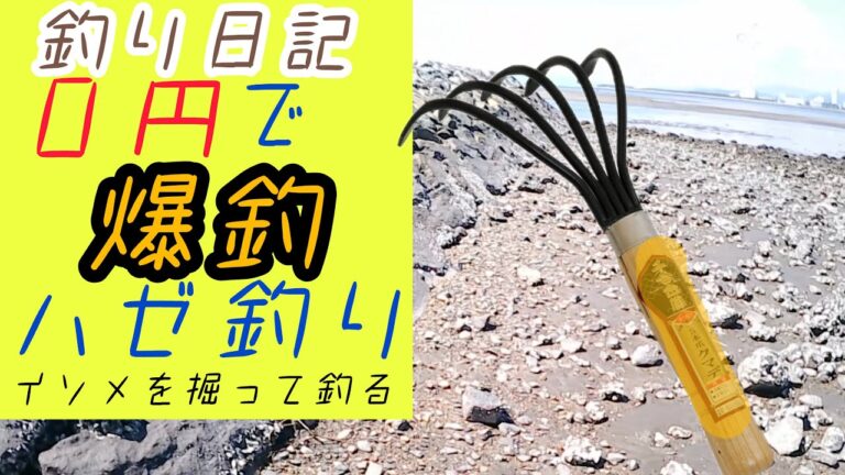 自分の採ったエサでハゼが入食い