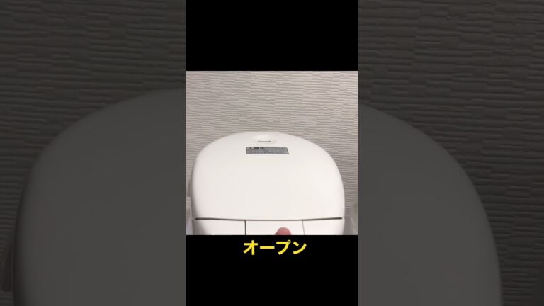 【おいしいご飯】旬の食材　開会式