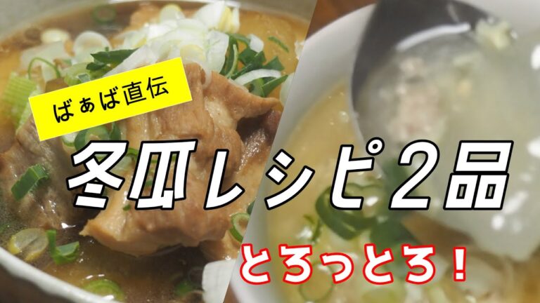 【冬瓜レシピ２品】厚切り豚肉と冬瓜の煮込み＆とろっとろスープ