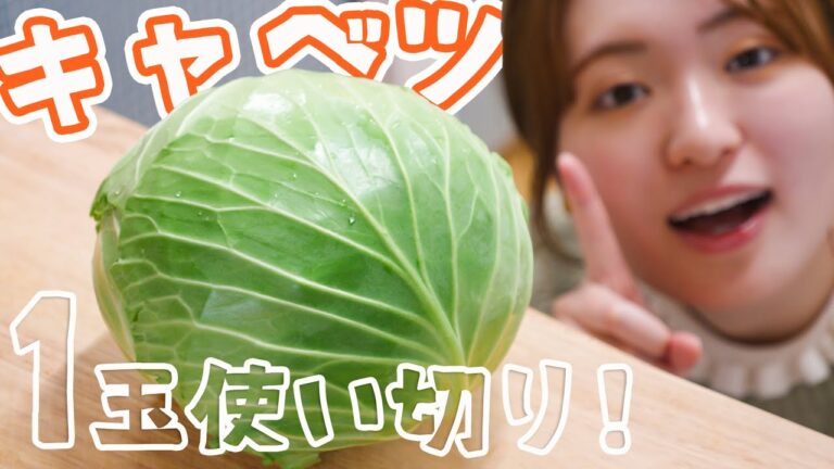 【キャベツレシピに困ったら】飽きないおいしさで感動！簡単キャベツ料理4品作るよー！