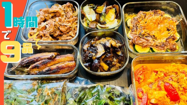 お酒もごはんもイケる！作り置き常備菜９品をしゃべりながら1時間で作ります！【作り置き実況＃51】