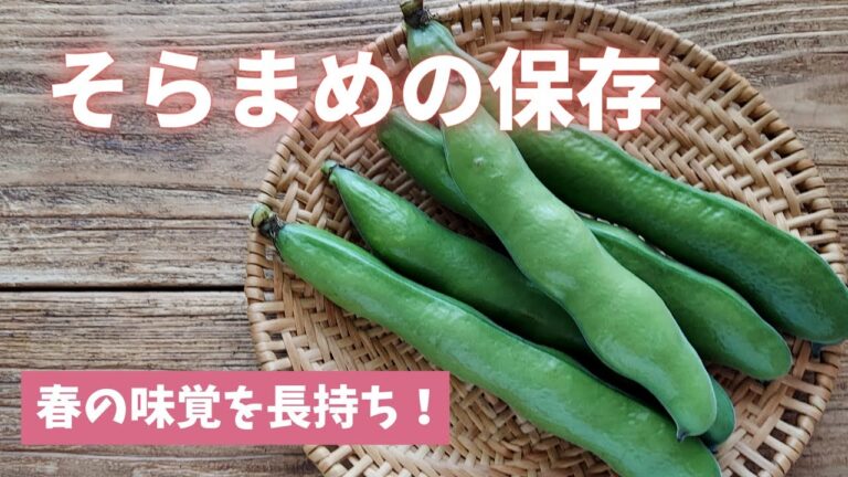 【そら豆の保存】味も栄養も収穫から3日まで！！
