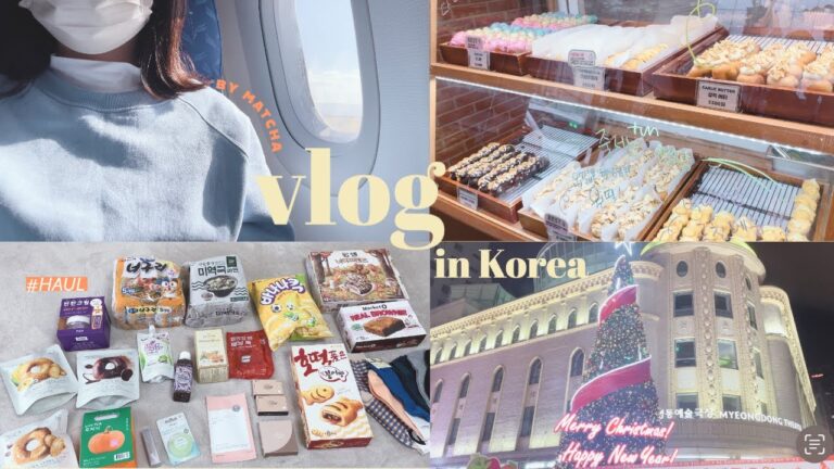 【韓国 vlog】ショッピングにグルメに詰め込みなソウル旅行🇰🇷✨/購入品紹介も🛍️明洞/弘大/高速ターミナル/オリーブヤング/ロッテマート/2泊3日