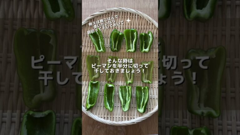 【干し野菜】知ってる人だけ出来る！時短で焼けるピーマンの肉詰め#干し野菜 #ピーマン #shorts