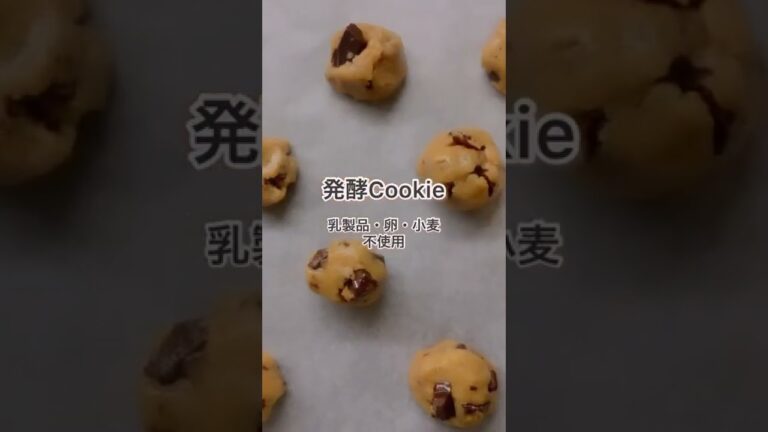 【発酵おやつ】GF/乳製品/卵不使用#アレルギー対応 #簡単レシピ 時々#ヴィーガン