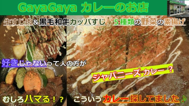 【倉敷グルメ】GayaGayaカレーのお店のチキンカツカレーと牛すじ野菜カレーと元気カレー