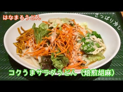 コクうまサラダうどん【一息くん#305】はなまるうどん