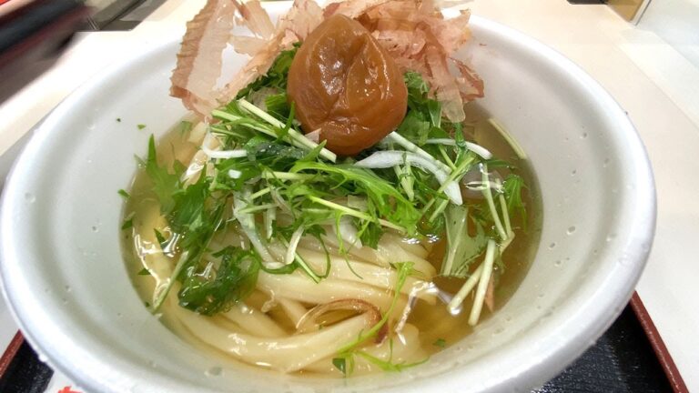 【緊急撮って出し】讃岐うどんのもり家さんが限定メニューを引っさげてやてきた！2022年5月31日まで津松菱！