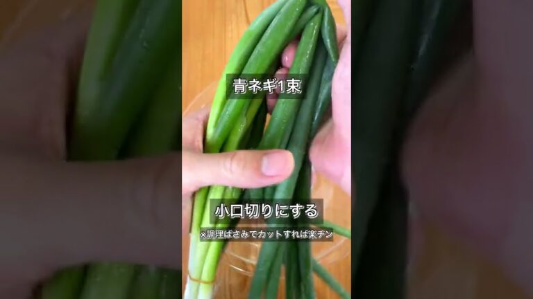 【だし香る！関西風ねぎ焼き】