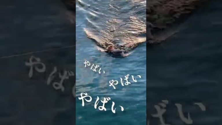 【まじか】堤防釣りでまさかの、、、🎣🔥