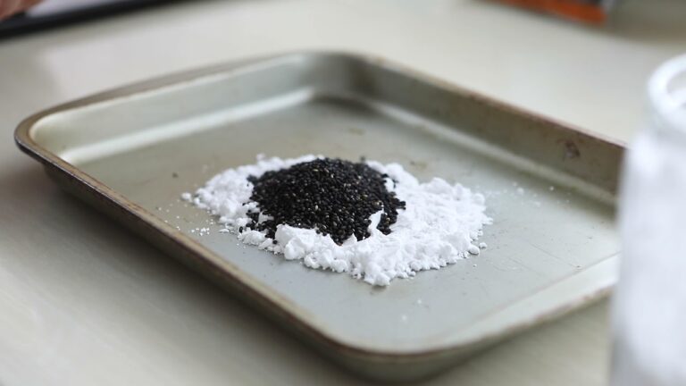 生姜の風味が爽やか【鶏ささみの胡麻衣揚げ】