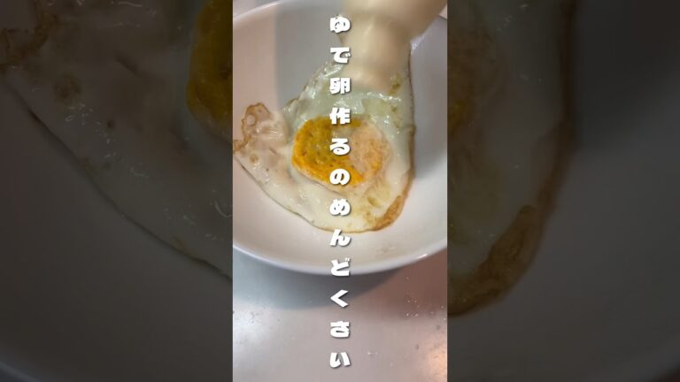 わたしのズボラタルタルチキン南蛮弁当🍱 #おべんとう #お弁当詰め方 #毎日弁当 #毎日ご飯