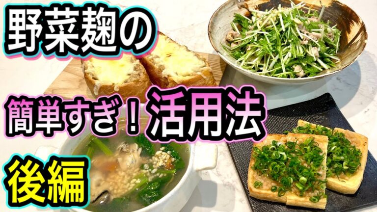 玉ねぎ麹/にんにく麹/トマト麹/きのこ麹を使って【お悩み別】簡単レシピ！発酵生活で腸元気