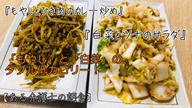 高齢者￼やシニアの健康ご飯『もやしと挽き肉のカレー炒め』『白菜とツナのサラダ』簡単　　レシピ　グループホーム　介護食