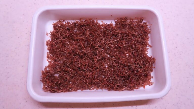 生姜入りちりめんじゃこの佃煮　いけちゃんの動画の玉手箱