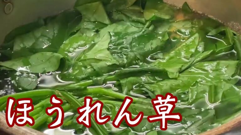 【簡単料理】"ほうれん草"を美味しくする下味の方法です♪仕上げもチャチャっとしましょう^ ^#簡単料理#レシピ#ほうれん草