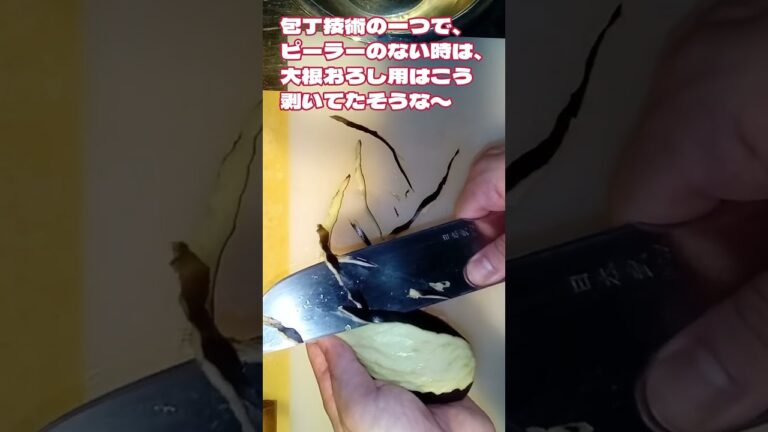 #shorts 茄子の捻り剥きの練習ついでに紹介です！
