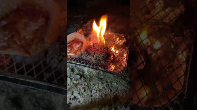 綺麗な川岸できったねえハンバーガーを作る。