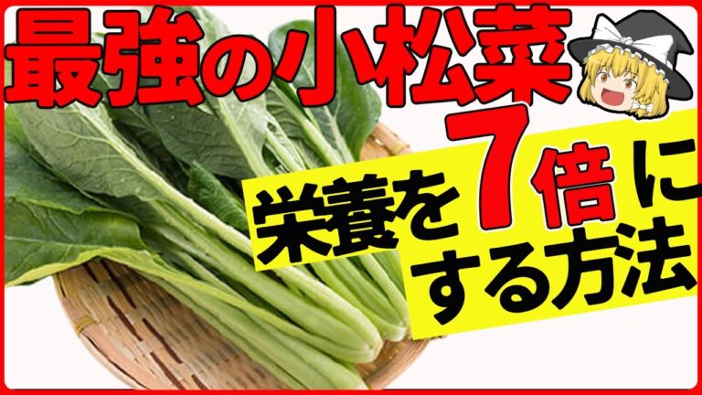 小松菜は生で食べるとどうなる？あの野菜より遥かに上！衝撃の小松菜の健康効果とは？【ゆっくり解説】