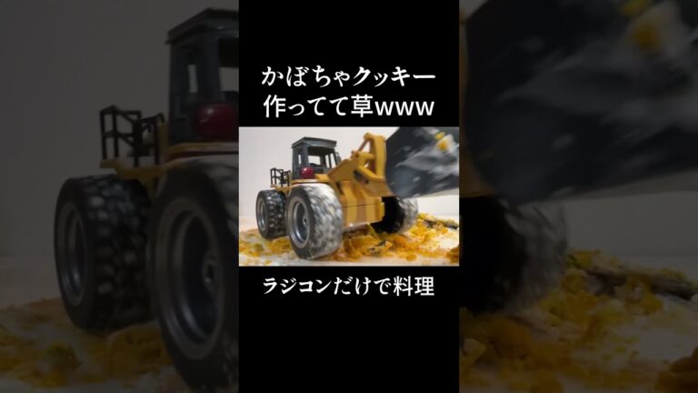 【衝撃】ラジコンだけでハロウィン用「かぼちゃクッキー」作った末路がヤバいwwww #shorts