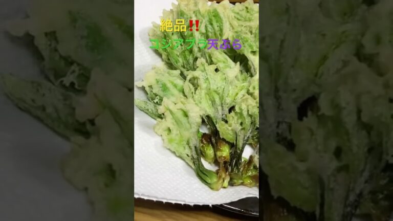 抜群に美味しい❣️絶品コシアブラの天ぷら✨旬の山菜は旨し‼️#shorts