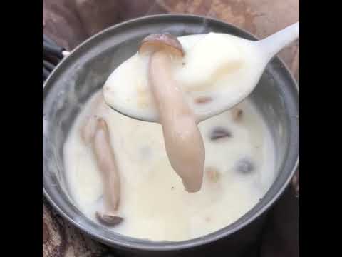 シチューかクラムチャウダーかそんなのを作るだけの動画