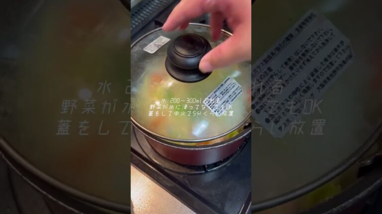 野菜たっぷり白菜のシチューを作った独身アラサー女。