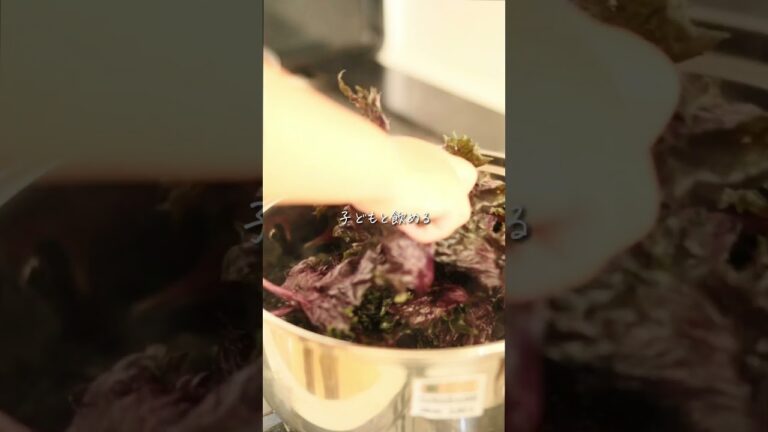 腸活したいなら、麹で紫蘇ジュース #shors