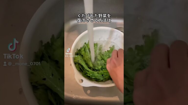 10万回再生⁉️野菜の鮮度を復活させる方法 #ショート #shorts #ライフハック #lifehacks #簡単レシピ
