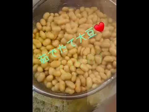 大豆煮てみた　＃Shorts #料理　＃簡単