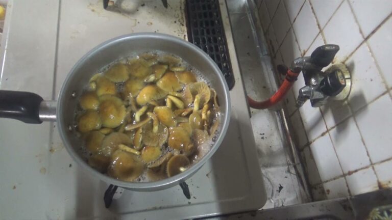 【常備菜】なめこときゅうりの酢の物作り☆