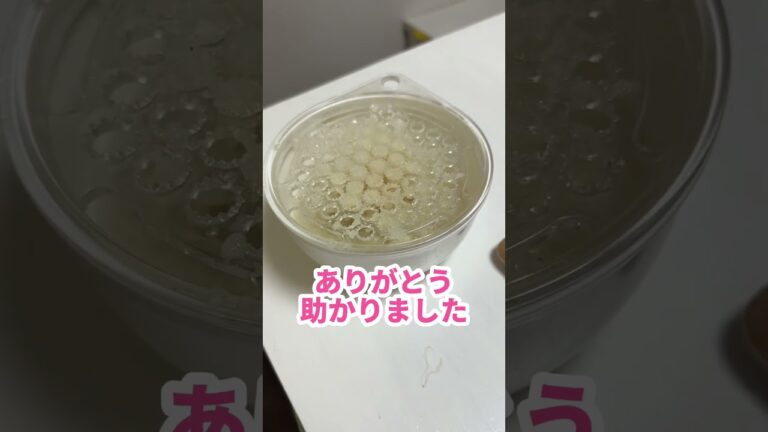 ツナと大根おろしとキノコの和風パスタ