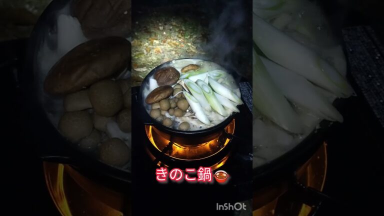 キャンプ飯(きのこ鍋)
