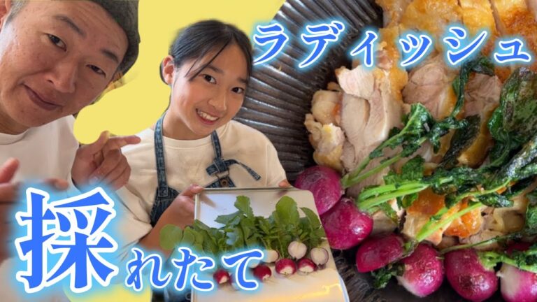 【畑で採れたて野菜】絶品!!ラディッシュ料理を作ってみた♪