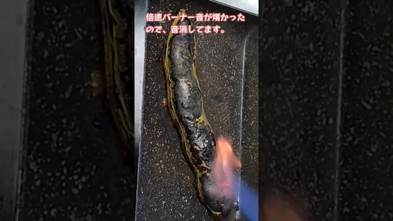 #shorts たぶん一番シンプルだけど、たぶん一番そら豆を美味しく食べる黒焼き作りました！