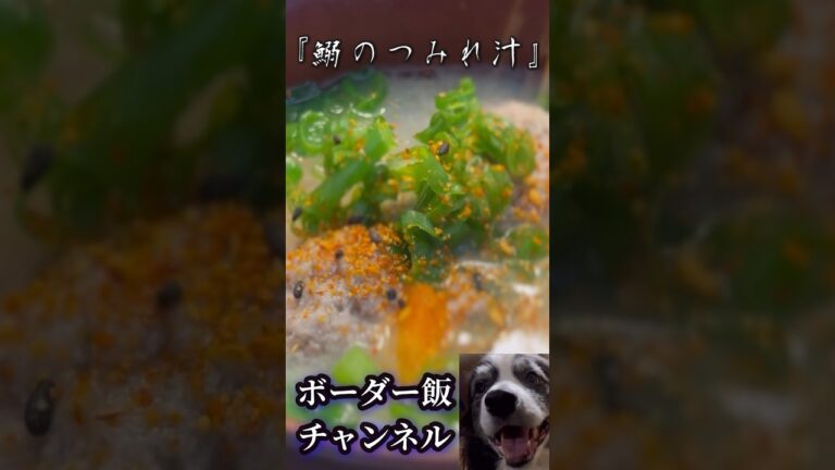 ボーダー飯チャンネル『鰯のつみれ汁』#つみれ   #いわし