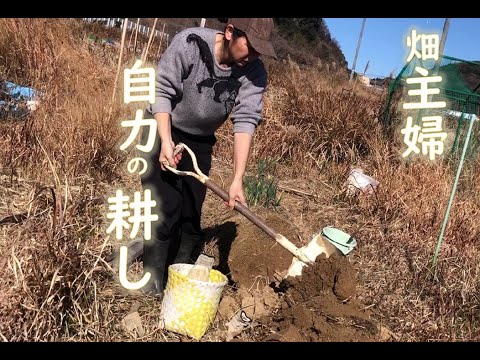 耕運機を使わないの？寒い冬は地味に汗ばむ自力の耕しで丁寧な家庭菜園