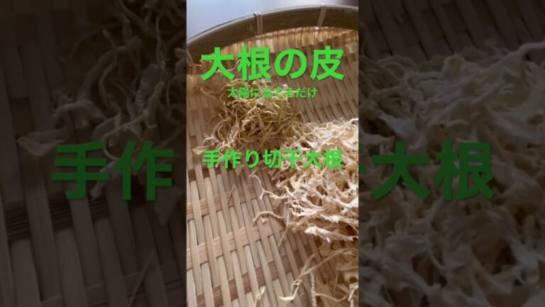 【切干大根は自分で作る】大根の皮や面取りした部分、1〜2日太陽に当てるだけ #野菜ソムリエ #簡単レシピ #sdgs #フードロス #大根 #切り干し大根 #手作り #干し野菜
