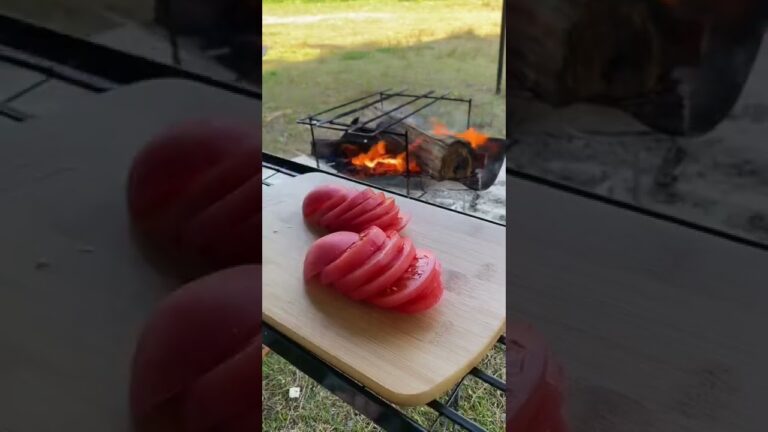 【映える】トマト、モッツァレラチーズのカプレーゼ。#shorts #キャンプ #キャンプ飯 #camping #camp #車中泊 #カプレーゼ#トマト#モッツァレラチーズ