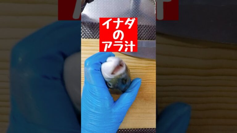 イナダのアラ汁を作る