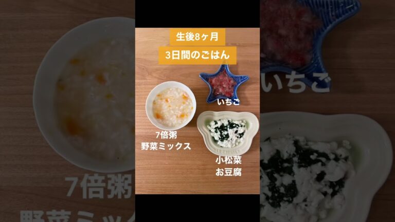 【生後8ヶ月】3日間の離乳食【2回食】
