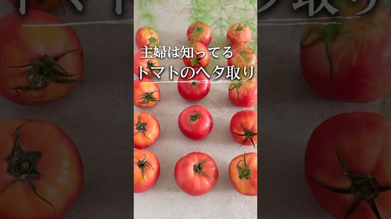 主婦技！トマト🍅のヘタ取り #レシピ #料理 #ライフハック #youtubeshorts #主婦の知恵 #トマト #トマトレシピ #夏レシピ #夏 #時短レシピ #shorts #裏技