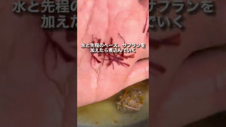 ぎぃーやんうまかブイヤベース🇫🇷