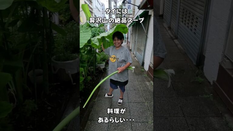 タイには具沢山の絶品スープ料理があるらしい・・・　 #タイ料理 #エスニック料理 #shortsvideo