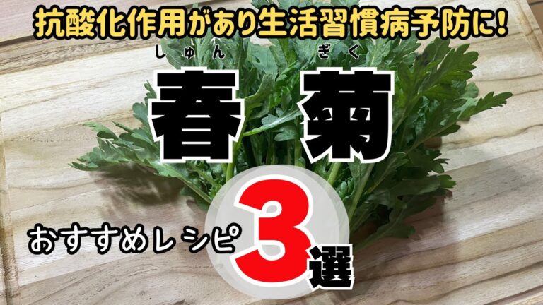 【簡単料理】春菊おすすめレシピ３選：抗酸化作用があり生活習慣病予防に！/3 crown daisy recipes