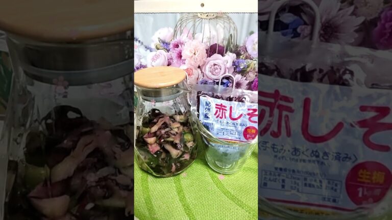 簡単しば漬け　　　　なす　きゅうり　茗荷　生姜　らっきょう酢