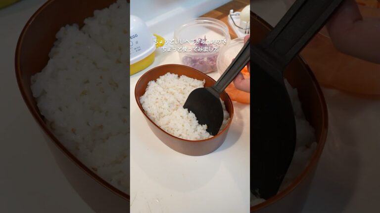 ビビンバビンビンビビンバベントウ♨️#お弁当#弁当#手作りごはん#shorts