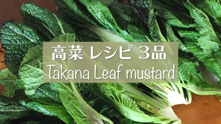 カンタン！美味しい！高菜レシピ３品　Takana Leaf mustard　＃高菜
